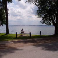 Person sitting on a bench at the edge of the lake on Lake Drive