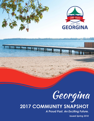 Cover of 2017 community snapshot 