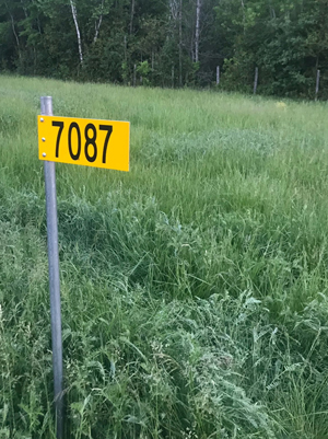 yellow sign with numbers 7087 on green grass