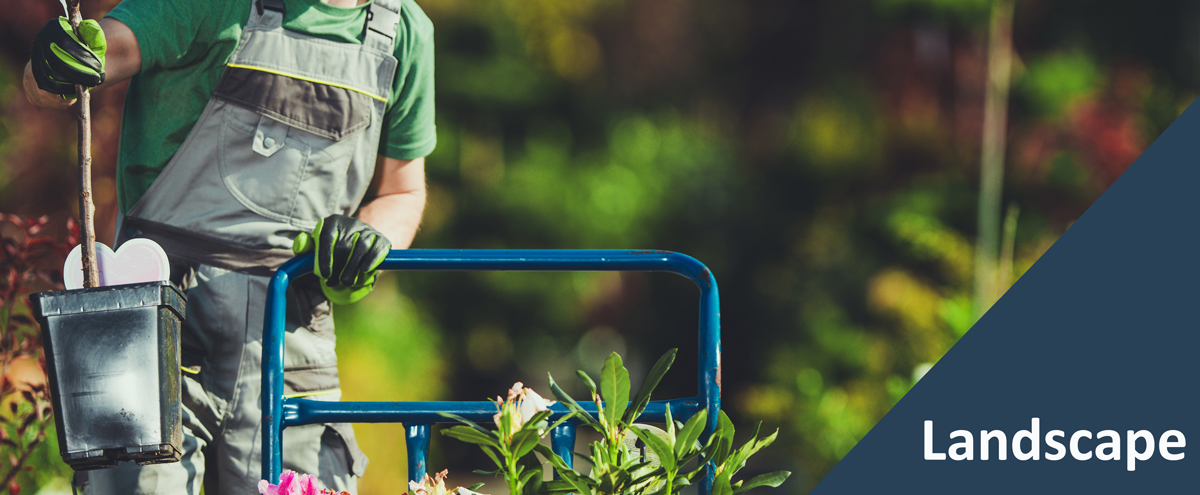 Community Improvement Plan Landscaping Grant Landscaping Grant for Businesses in Georgina