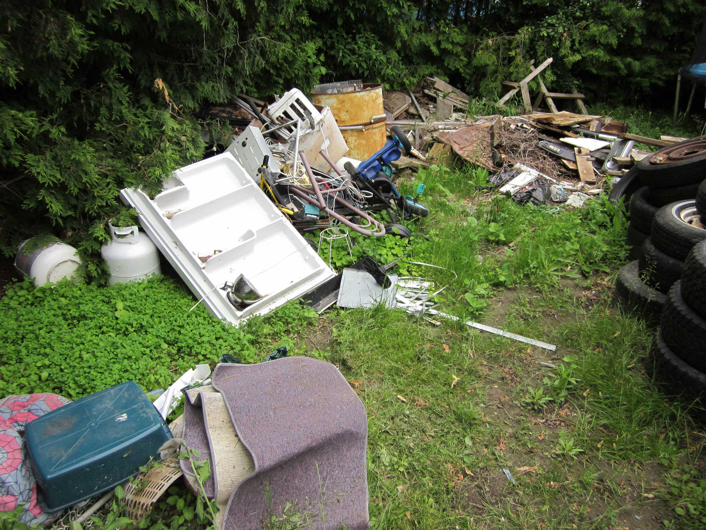 property covered with garbage