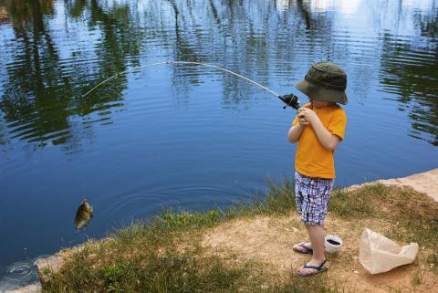 fishing in the Town of Georgina