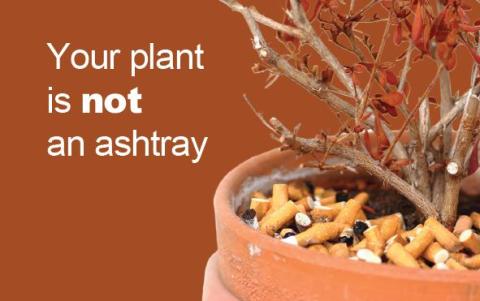 plant in pot with many cigarette butts and the words your plant is not an ashtray