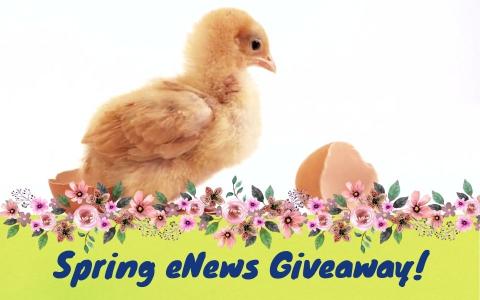 Baby Chick eNews giveaway