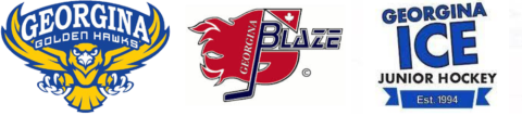 Logos of the Georgina Eagles, Blaze and Ice hockey teams