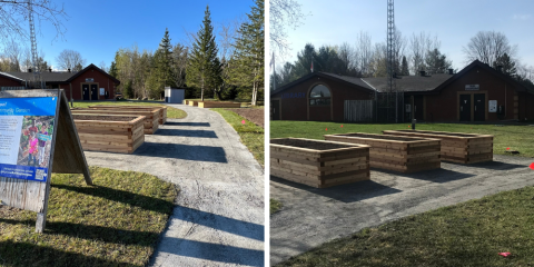 side-by-side of community gardens