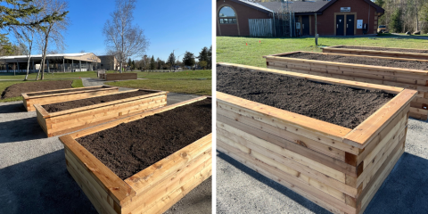 side-by-side of community gardens boxes