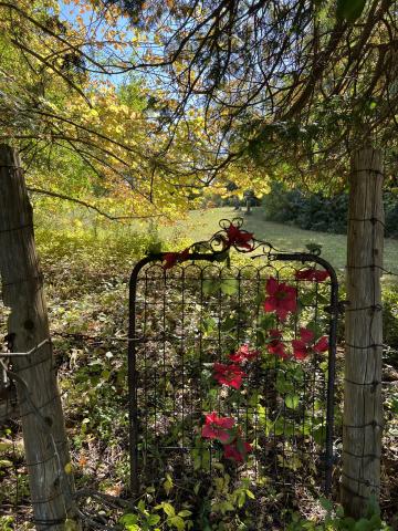 Gated entrance to a cemetery