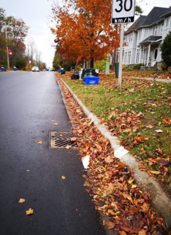 road side with stormwater sewer covered by colourful leaves