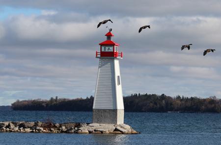 Lighthouse on water with red top and birds flying