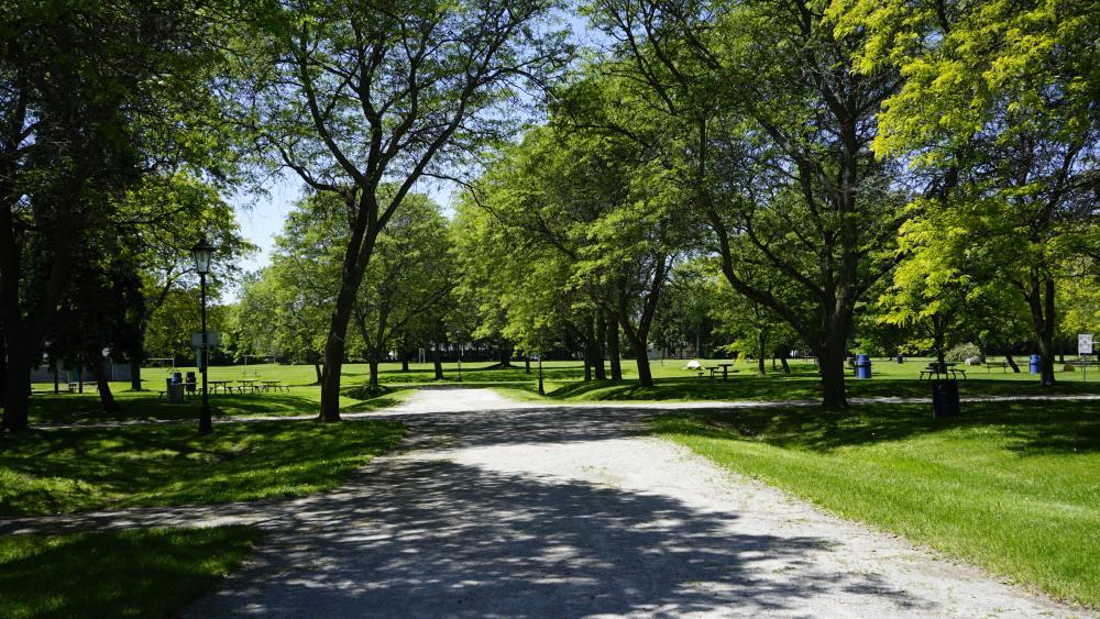 Park with pathway