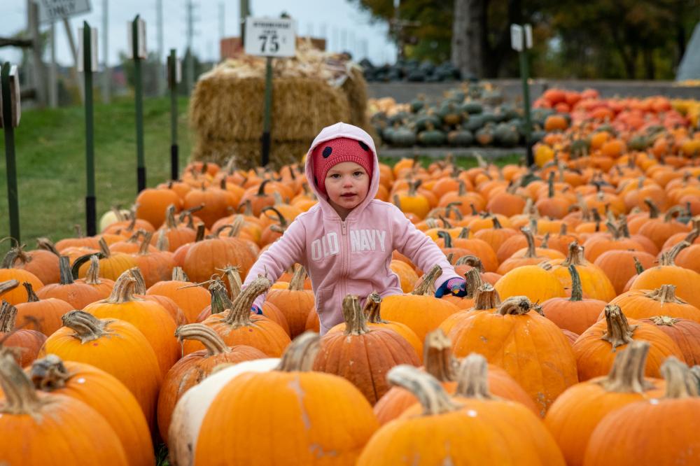 Child sitting in a pumpkin patch with hay bale in background