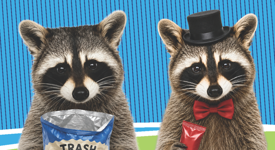 Cartoon illustration of two raccoons holding snack food packages.