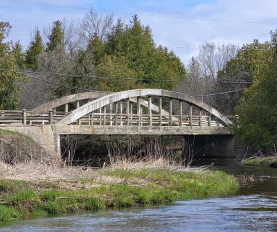 bridge with forest behind