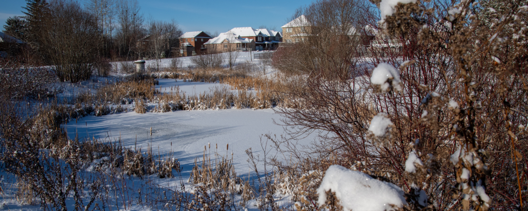 stormwater pond covered in snow