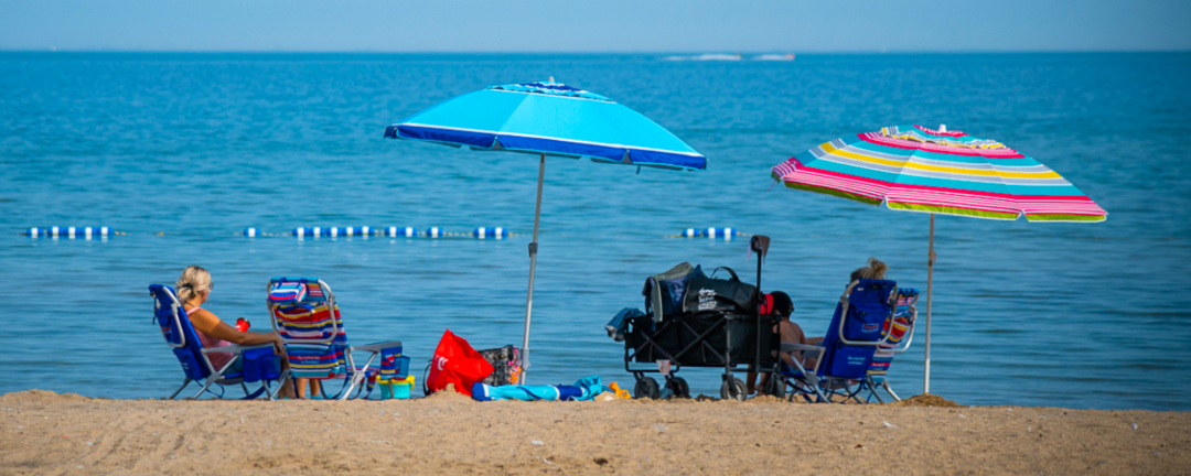 people under umbrellas at the beach