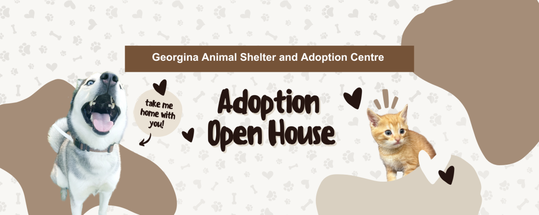 dog and cat with the words Georgina Animal Shelter and Adoption Centre adoption open house