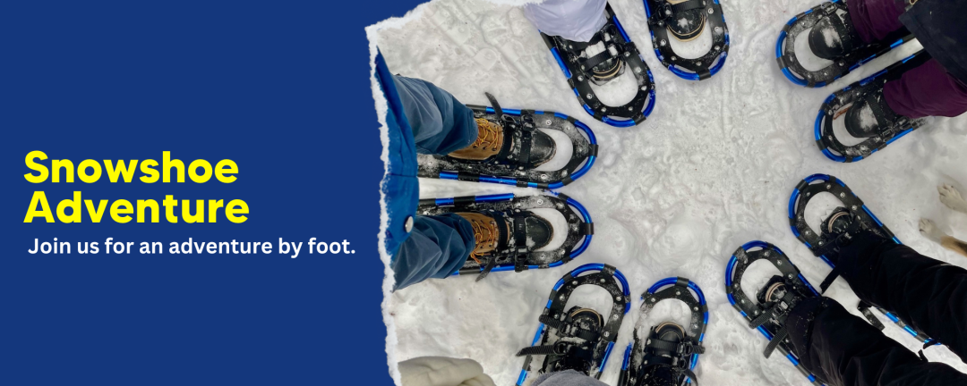 Snowshoe Adventures