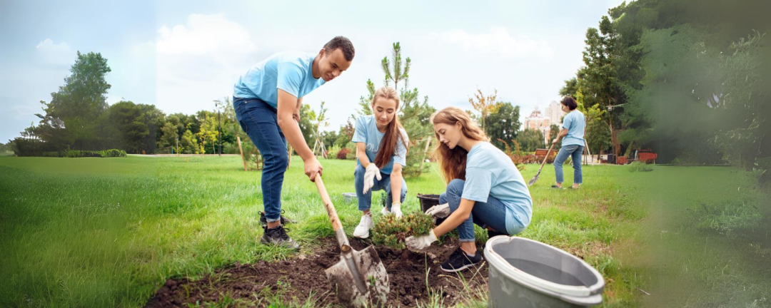 three people planting a tree