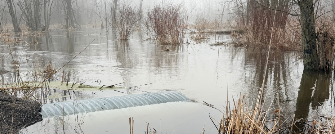 water overflowing a culvert onto a field